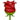 rose.png